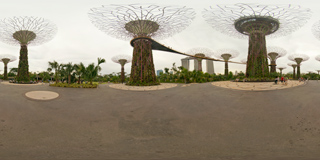 Panorama 135
