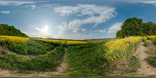 Panorama 163
