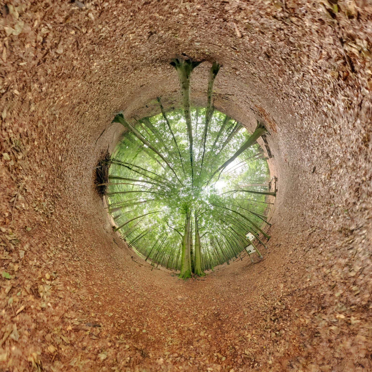 Panorama 165 - Little Planet