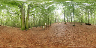Panorama 165