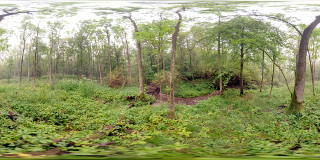 Panorama 166