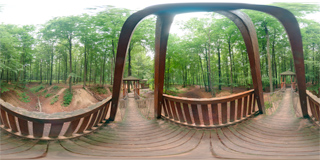 Panorama 169