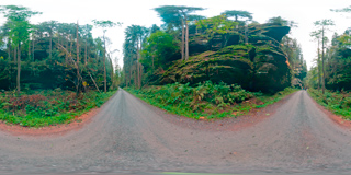 Panorama 174